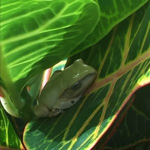 Meet your Posher, Tina